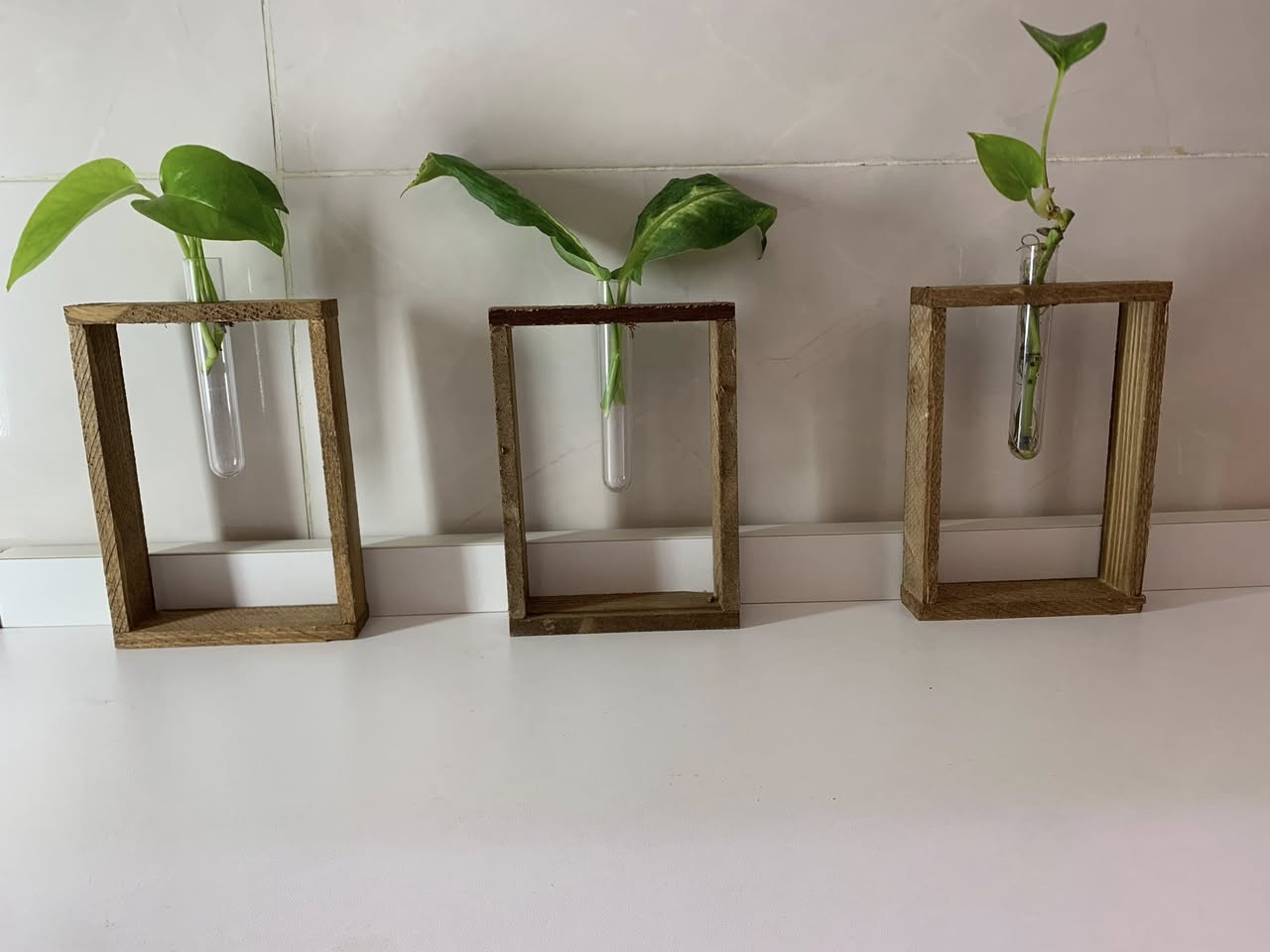 سلام عليكم بنات عندي هذولة اغراض ابيعها بسعر قليل جدا


**إذا كنت صاحب هذا الإعلان وتريد حذفه لأي سبب، رجاءا أرسل رسالة إلى الدعم الفني**