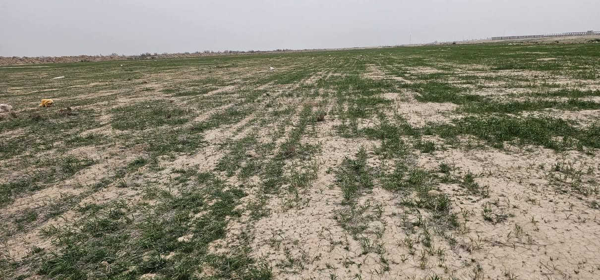 السلام عليڪم ورحمة الله وبركاته
ضمانه للبيع مساحتها 250 
دونم موقعها بدره
السعر عبر الاتصال 
على الأرقام التاليه
***********
***********
