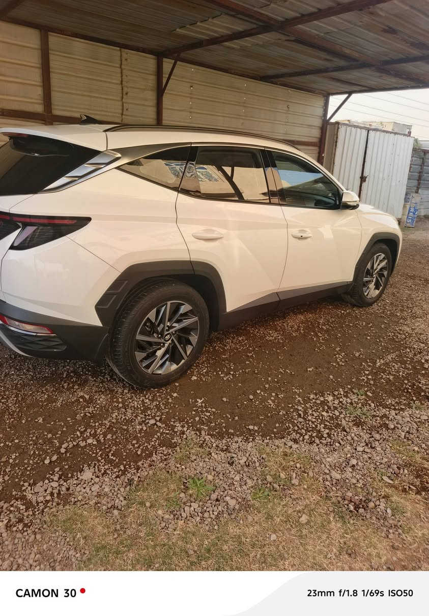 سلام عليكم توسان ٢٠٢٣للبيع ماشيه ١٧الف باسمي رقم بغداد مكفوله كفاله عامه ١/١قماره حديد رقم هاتف ***********
