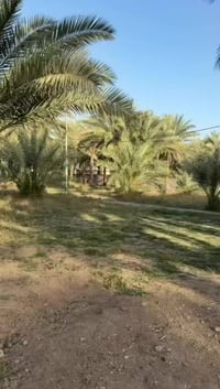 كربلاء شارع بغداد • ٢ دونم • بيت طابقين