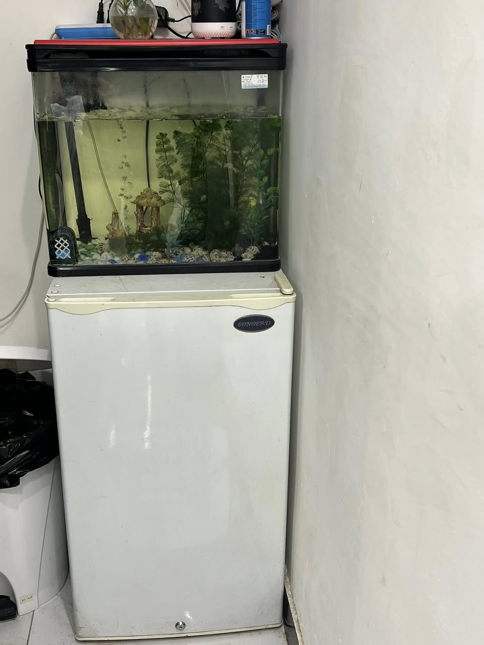 اغراض للبيع
رف تعليك 
حوض سمج
ثلاجة صغيرة
***********
