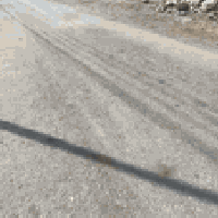 كربلاء • ٥٠٠م • سند٢٥