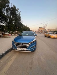 توسان • ٢٠١٨ • بابل المحاويل