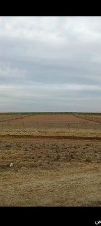 قوسيات • ٢ دونم • سند زراعي