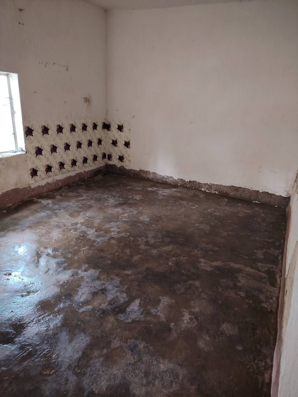 بيت للبيع شارع 80قرب شركت المي مجاور مجمع السلام السكني يحتوي البيت عله عرفتين نوم  صاله  او مطبخ او طارمه او حديقه او مساحه بيت 300متر او يحتو كهرباء او مي اسلاه او مولد او صطح ام طبك او كامل او ستاره السعر 18او بي مجال الرقم ***********
