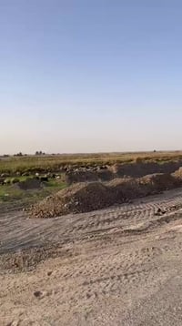 السجر • طابو زراعي • ٥٠٠٠م