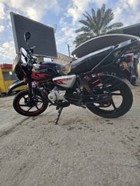 بوكسر • موديل 22 • اوراق أصولي