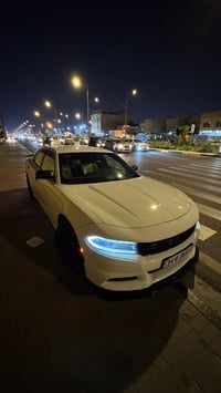 تشارجر SXT • ٢٠١٩ • رقم بصره