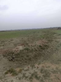 طابو زراعي • ٤ دونم • منطقة الجذع