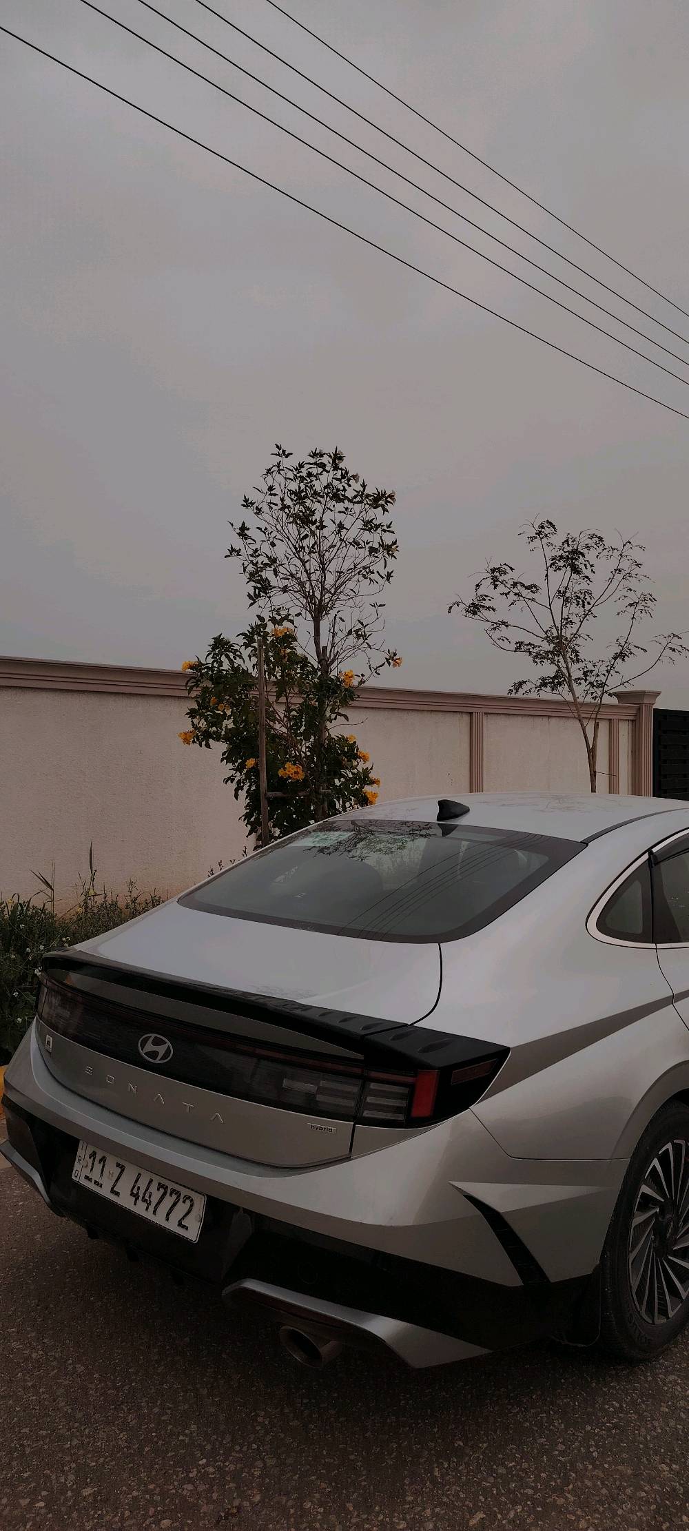 السلام عليكم 
 سوناتا 2025 للبيع 
وارد امريكي
حجم المحرك 2000 هايبرد
ماشيه 31000
شاشتين متصله مع ابل كار بلاي + اندرويد اوتو
تشغيل بصمه 
شفتات
تدفئه الكشنات الاماميه 
فتحات تبريد خلفيه
كامره خلفيه 
كشنات كهربائيه 
لايت امامي + الخلفي لِد
4 حساسات اماميه و 4 خلفيه
اوتو هولد
تثبيت مسار 
قياده ذاتيه (فئه نادره) 
وضع sport + eco
و بعد مواصفات سطحيه اخرى 
 الضرر : بنيد فقط مثل ما موضح 
رقم الشاصي : kmhl34jj4sa108049 
السعر : 195 و وبي مجال
مكانها : كربلاء المقدسه (حي العباس طريق بغداد) 
للاستفسار : ***********


 
