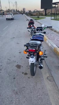 دراجة • ٤ كير • أوراق زيتية