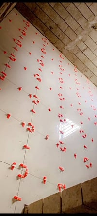 اسطه • متفرغ • خدمات