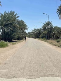 ع شط لحله • ٥٠٠م • طابو صرف زرعي