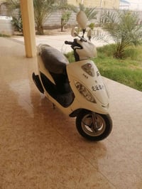 كامكو فحل • ٢٠١٣ • مفتوح