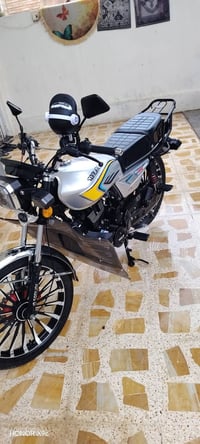 مامفتوحه • شغاله • موديل ٢٠٢٥