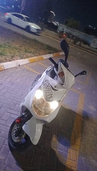 سكنس فحل نوزل  900 الف 07881612054