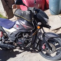 ياباني • مراوس • ب سايم