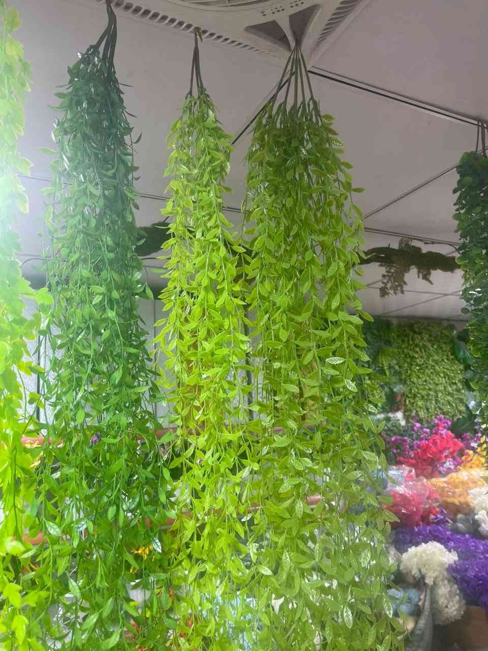 هلو حبايبي متوفر عندج المتدلي
والزرع الصطناعي موقعنا فرع الأول حي تونس فرع حسينية الحجة المنتظر فرع الثاني سريدات قرب ماركت المنتظر 
متوفر توصيل


**إذا كنت صاحب هذا الإعلان وتريد حذفه لأي سبب، رجاءا أرسل رسالة إلى الدعم الفني**