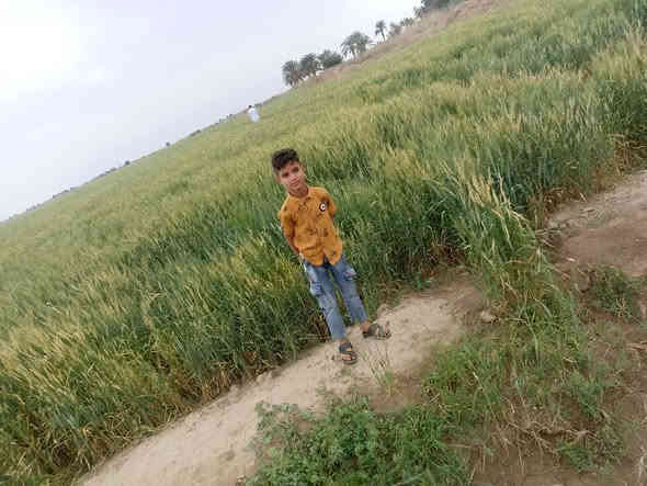 سلام عليكم ورحمه الله وبركاته 
                 بسم الله الرحمن الرحيم 
ارض زراعية للبيع المساحه ٣٥ دونم صالحة للزراعة وشرط الزرع بيها ماطور ابو العشره وغطاسات عدد ٢ مستوفية كافة الشروط من ماء وكهرباء وشارع تبليط قريب عليها ومدارس ومنطقة هادئة وناسها جداً محترمين مكان الأرض الرفاعي صوب بني ركاب منطقة المريبيع  .
السعر وباقي التفاصيل الاتصال على الرقم الموجود بالاعلان 
*********** بي واتساب أو مراسلة الصفحة
