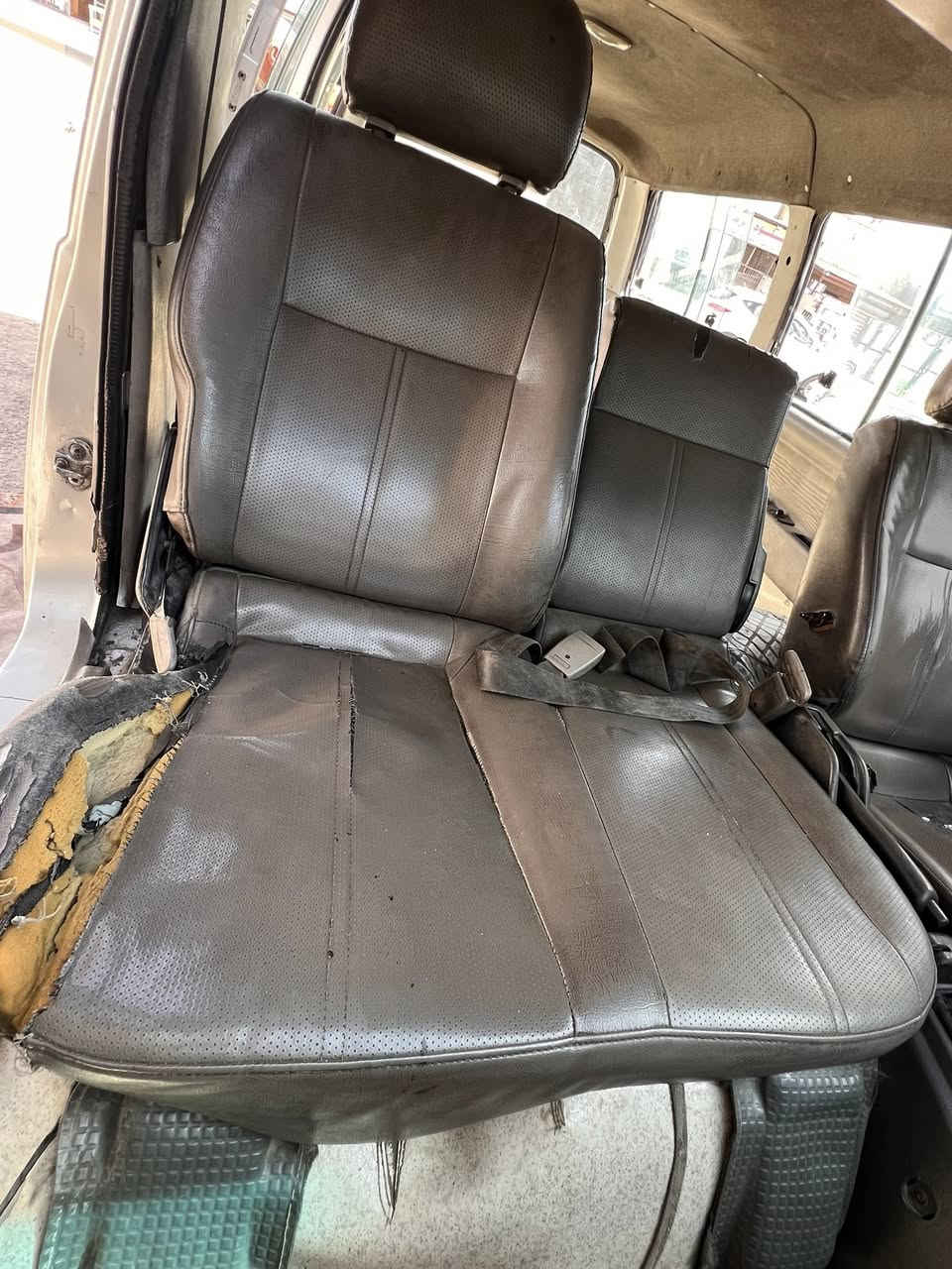 السلام عليكم كشنات منغولي للبيع مكان بغداد حسينية المعامل اتصال 📞 ***********
