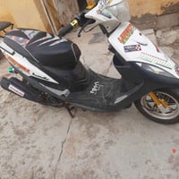 ماكس • بدون سلف • ابو الخصيب بصره