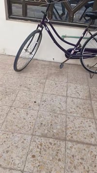 نجف الكوفه • مستعجل • فيديو