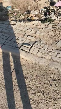 اخوان قطعه زراعي البيع ٥×٢٠في منطقه الرائاسه شارع ٢٠ معمل الغاز شارع س...