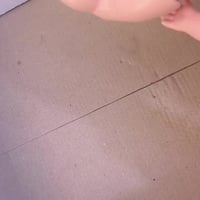 شلعه • ١٢قطعه