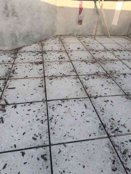 مادام مطرت الحك وسوي السطح مالتك وبسعر حلو ومناسب وشغل يرضي الله راسلني وادلل ياللة السلام عليكم /سطحك تعبان خابر وتدلل تزفيت /اعادة ماستك /اضافة استك /فلانكوت/جميع اعمال السطوح وباسعار مناسبة ذي قار ونواحيه***********
