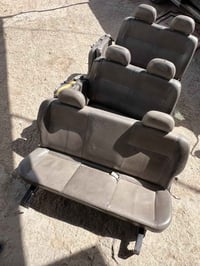 كشنات منغولي للبيع مكان بغداد حسينية المعامل اتصال 📞 07728501850