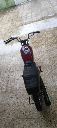 تانكي • كشن • وردي