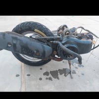 بيجي • ياباني • صوت ناعم