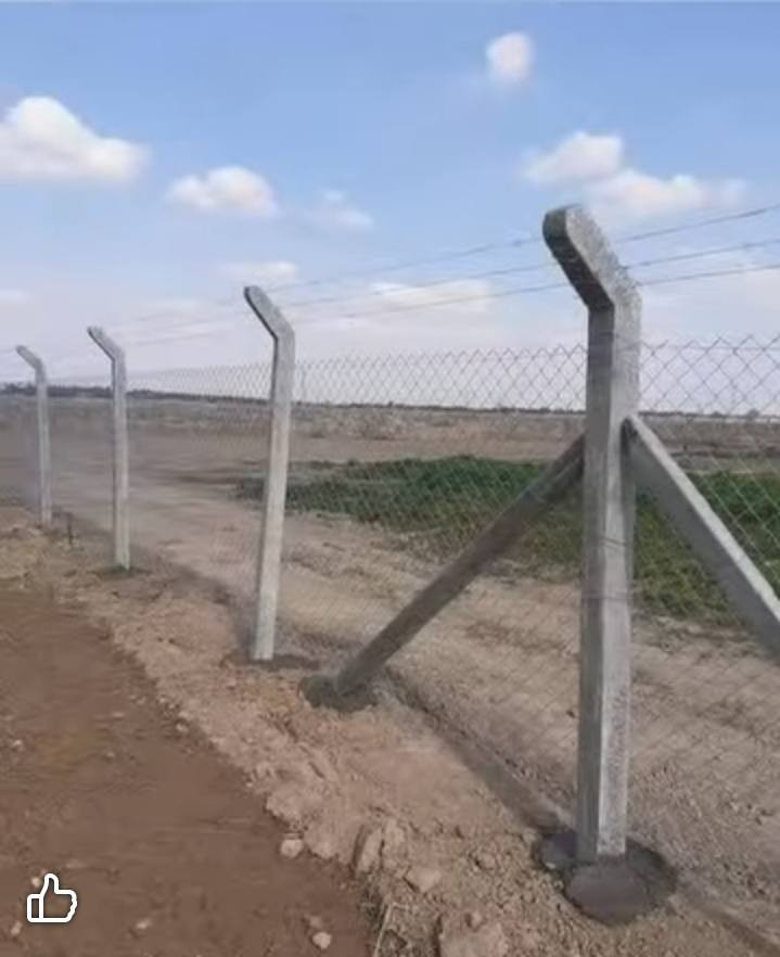 عمل ونصب اسيجة بيارسي بكافة أنواعها نعمل في جميع المحافظات ومستعدين تجهيز كافت دوائر  اتصل ***********.***********
