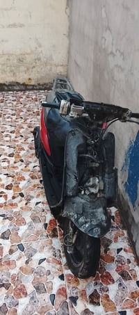 فرخ • اكزز • معمر