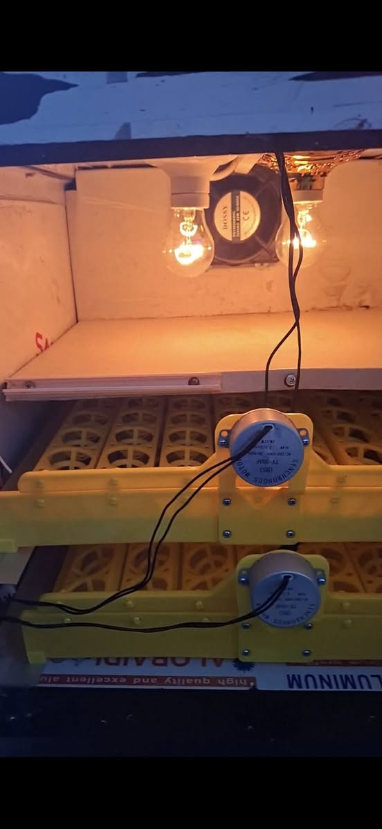 🐣 من بغداد للبصرة.. رزقكم وي "فقاسات الريف العراقي" مضمون! 🇮🇶
​تريد مشروع يبيض وجهك ويريح بالك؟ عوف المستورد التعبان وجرب شغل الريف المعدل! 🌾
​✅ ليش تختارنا؟
​تفقيس فوق الـ 90%: تكنولوجيا حديثة تضمن لك أعلى إنتاج.
​تتحمل جونا: مصممة خصيصاً لحرارة الصيف وبرد الشتاء بالعراق.
​فول أوتوماتيك: (حرارة، رطوبة، تقليب) أنت بس خلي البيض وعوف الباقي علينا.
​توصيل باب البيت: لجميع محافظات الوسط والجنوب (بابل، النجف، كربلاء، الديوانية، الناصرية، العمارة، البصرة).
​🔥 عرض "أهل الغيرة" لفترة محدودة:
​أي طلبية من الوسط والجنوب هذا الأسبوع تشمل:
🎁 هدية مجانية ( سلة تفقيس ) + دعم فني 24 ساعة.
​👇 تفاعل واربح!
​أكتب اسم محافظتك بالتعليقات مع كلمة فقاسات بتعليقين منفصلين، وأكثر محافظة او تعليق يحصل "لايكات" راح نسوي لأهلها خصم خاص 15% على الطلبية القادمة + توصيل مجاني ! 😍
​📞 للحجز والاستفسار (واتساب/اتصال):
[***********]
​#فقاسات_الريف_العراقي #بنت_الريف #دجاج_عرب #مشاريع_العراق #بغداد #البصرة #الناصرية #النجف #الحلة
​#فقاسات_الريف_العراقي #دواجن_العراق #بغداد #بابل #كربلاء #النجف #الديوانية #مشاريع_صغيرة #تفقيس
