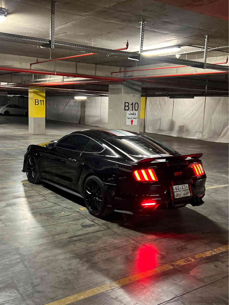 ‏Mustang 2016 V6
كير محرك اكسل شرط
صبغ بوند محدث واربع قطع ابيع حزام 
ايرباك دشبول مطاك 
ماشيه١٠٦ mi
صدر امامي خلفي جديد
تبريد كهربائيات شرط
الاضافات
دعاميه شيلبي
لحية شيلبي
سبويلر جيتي 
كزوز روش دبات
دفيوزر 
داخل كاربون فايبر كامل حتى قعده مال تبريد كاربون فايبر
 ويل ٢٠ نقشه حلوه
تايرات نظيفه
لايتات نشره 
 كوشن كهربايي
كزوز رياضي فصله و طلاقات
سياره شرط مابيها مصرف نهائيه
رقم اربيل 
تحويل شرط باسم شركة 
مكان سياره دهوك
سعر 136$
‏Watsapp *********** أربيل, العراق
