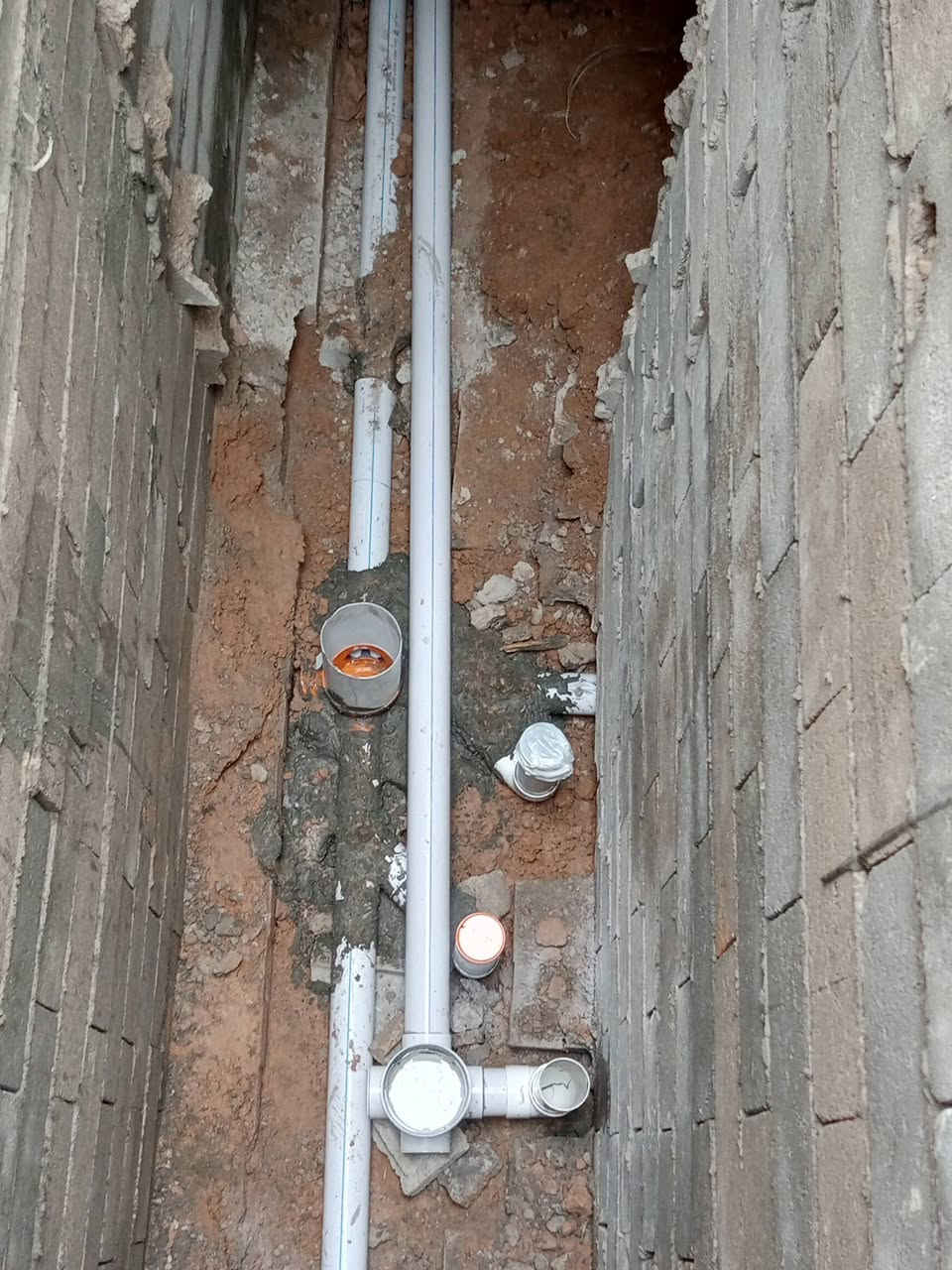 عبد تأسيس صحيات عامه ***********
