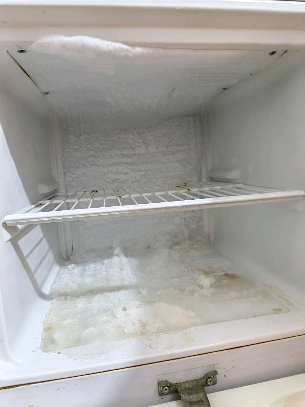 ١٠٠ وبيها مجال كربلاء حي الامامين