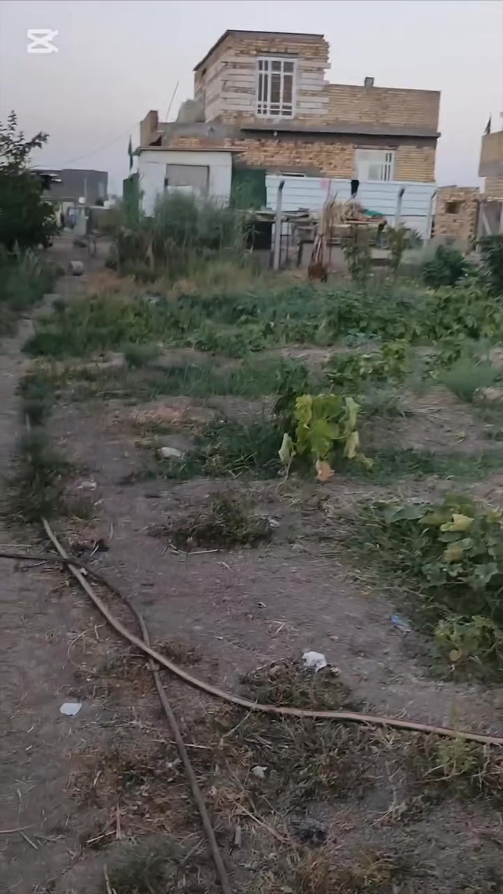 ارض زراعيه للبيع مع بيت كامل المساحة الكلية 1750 متر الأرض مزروعة {{ 20نخله + 35 تين + 8 تفاح+ 6 رمان+ 2 خوخ+ 2 عرموط+ 5 نبك}} الموقع الحمزة الغربي خلق الصقر// الاستفسار أكثر خاص او اتصال ***********/// شعندك مراوس نزل
