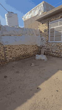 سلام عليكم 
                              مشتمل عدد ٢ 
                           مساحه الكليه 265
              طابو زراعه سند 25 واجهيته ١٤نزال ١٩
الاول كامل  طابقين يحتوي على 4غرف نوم وصاله ومطبخ ومناور 2 ,
الثاني هيكل مثل ما وضح بلفيديو
الموقع📍حله شارع 80 خلف مول نون 
للستفسار الاتصال ع الرقم ***********
