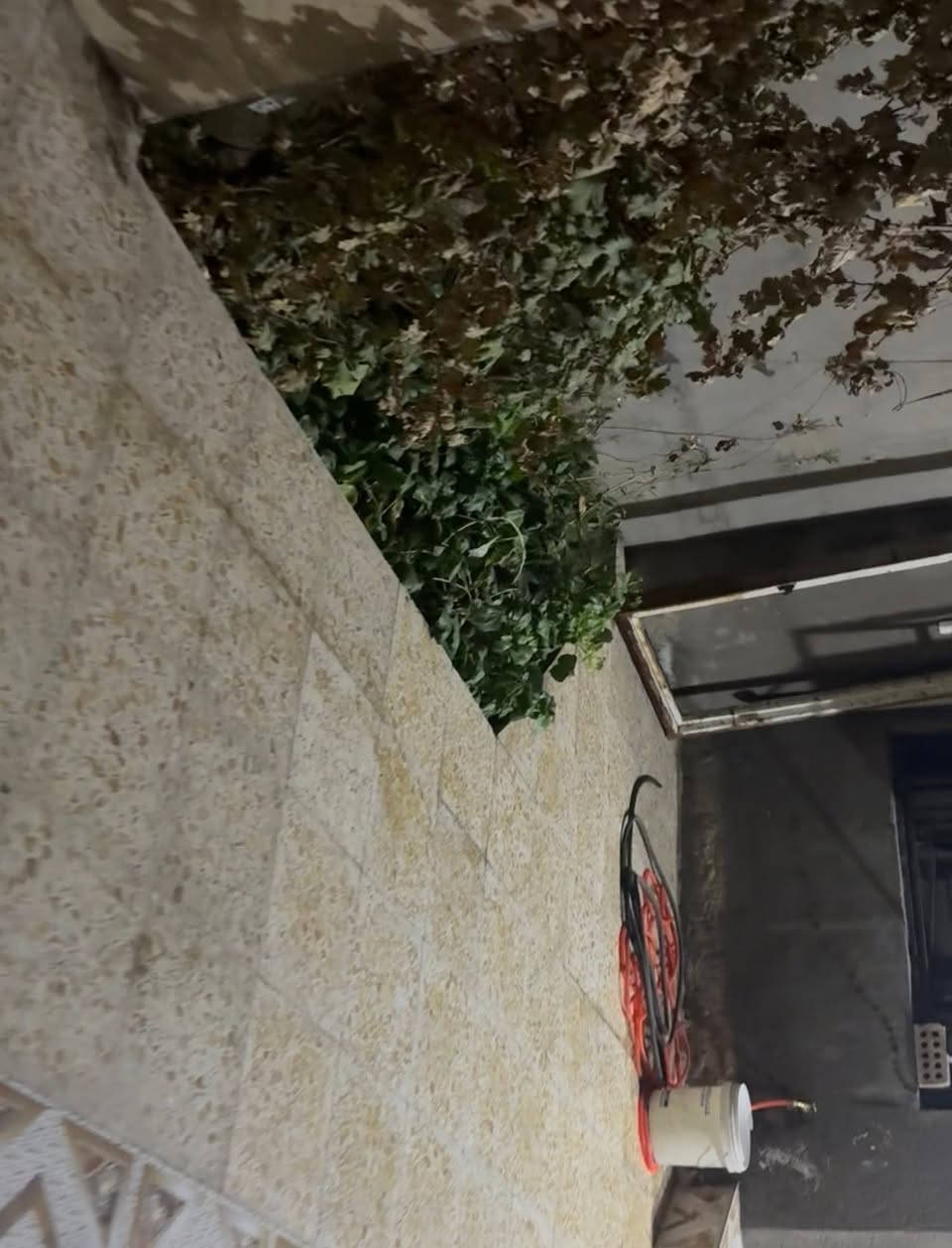 للبيع بسعر مناسب بناء حديث طابق واحد مستعجل عالبيع***********والشراي صدك يتصل واني بخدمته علمً البيت غراضه ويا هديه انطيهن وليسه بيع
