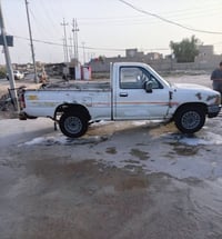 مراوس • صيني • مفتوح