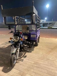 ستوته شاينك دولفين • ٢٠٢٢ • نضيفه