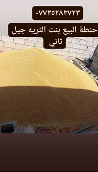 للبيع بذور حنطه ثريا المانيه الحبايه واخته بدون شوائب السعر والاستفسار...