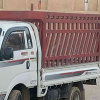 محجر كيا فحل للبيع تزكام فووول السعر خاص خابرني 07766414645