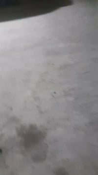 للبيع تكاتك مكان بغداد زعفرانيه السعر تصال على هذا رقم ٠٧٧٠٦٢٠٦٨٢١مودي...