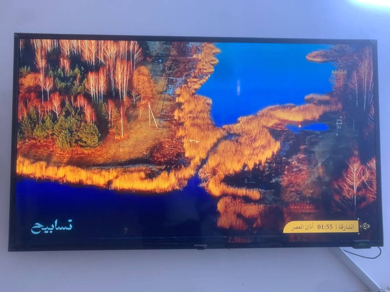 لسلام عليكم شاشه للبيع الحجم 55 نظيفه جدا برو نت
مكان الشعب ‏‪***********‬‏
السعر 225 بيهه مجال
