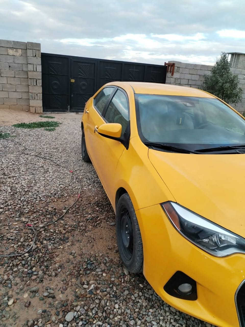 كورلا رقم صلاح الدین  2019رقم نگليزي سنويه
/2031 شرط تحويل وكاله منظومة غاز ضرر بونيد وجاملق السعر135

التصال***********
