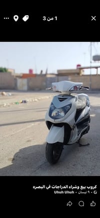 سكنس فحل • نوزل كوري • البصرة