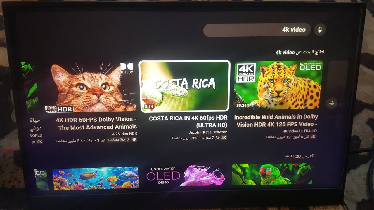 السلام عليكم شاشة محمولة نضام أندرويد وايفاي ذاكرة 16  حجم 16 انج السعر خاص متوفر توصيل


**إذا كنت صاحب هذا الإعلان وتريد حذفه لأي سبب، رجاءا أرسل رسالة إلى الدعم الفني**